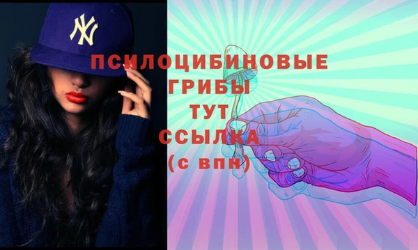 твердый Армянск